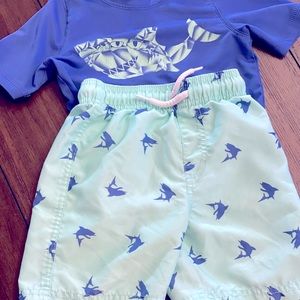 Boys Swim set